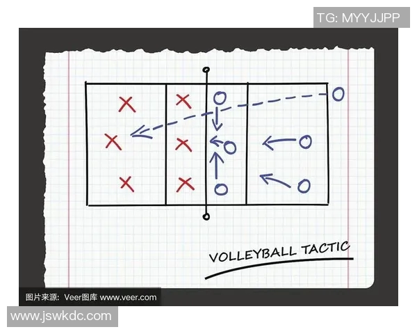 深圳排球队反击战术解析与未来发展展望