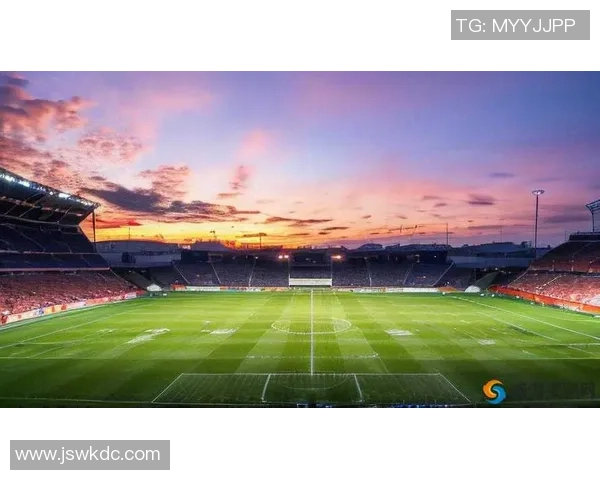 护送足球的使命与责任在绿茵场上绽放光彩