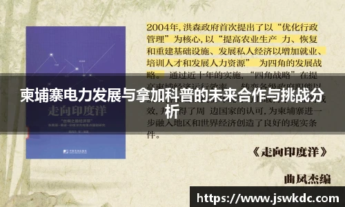 柬埔寨电力发展与拿加科普的未来合作与挑战分析